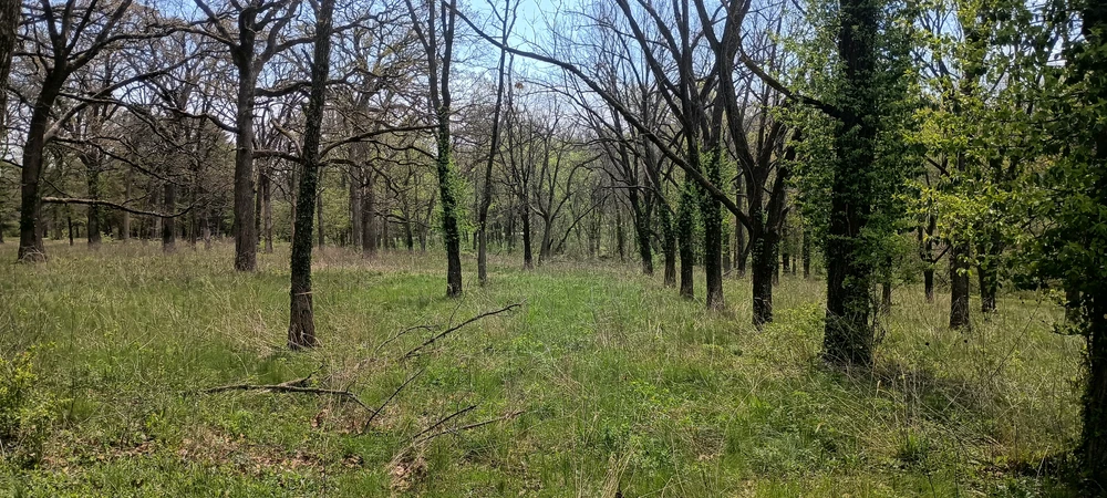 Image uploaded by Andrew Montoya