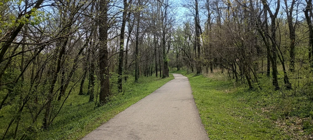 Image uploaded by Andrew Montoya