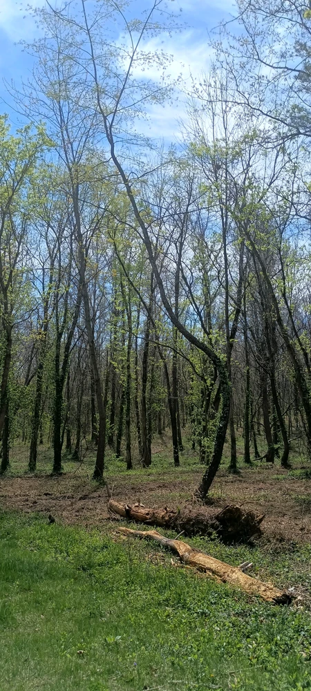 Image uploaded by Andrew Montoya
