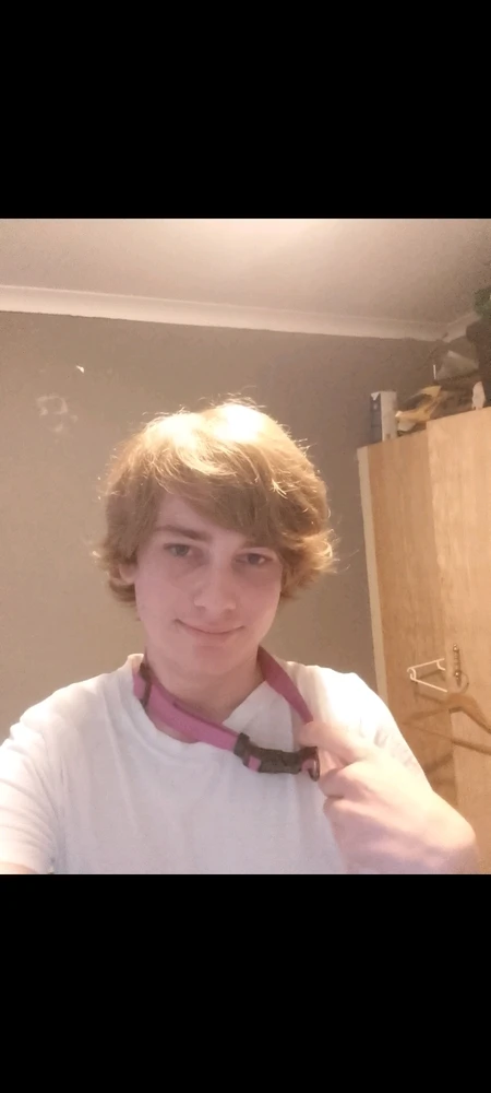 SugarFreeFemboy上传的GIF