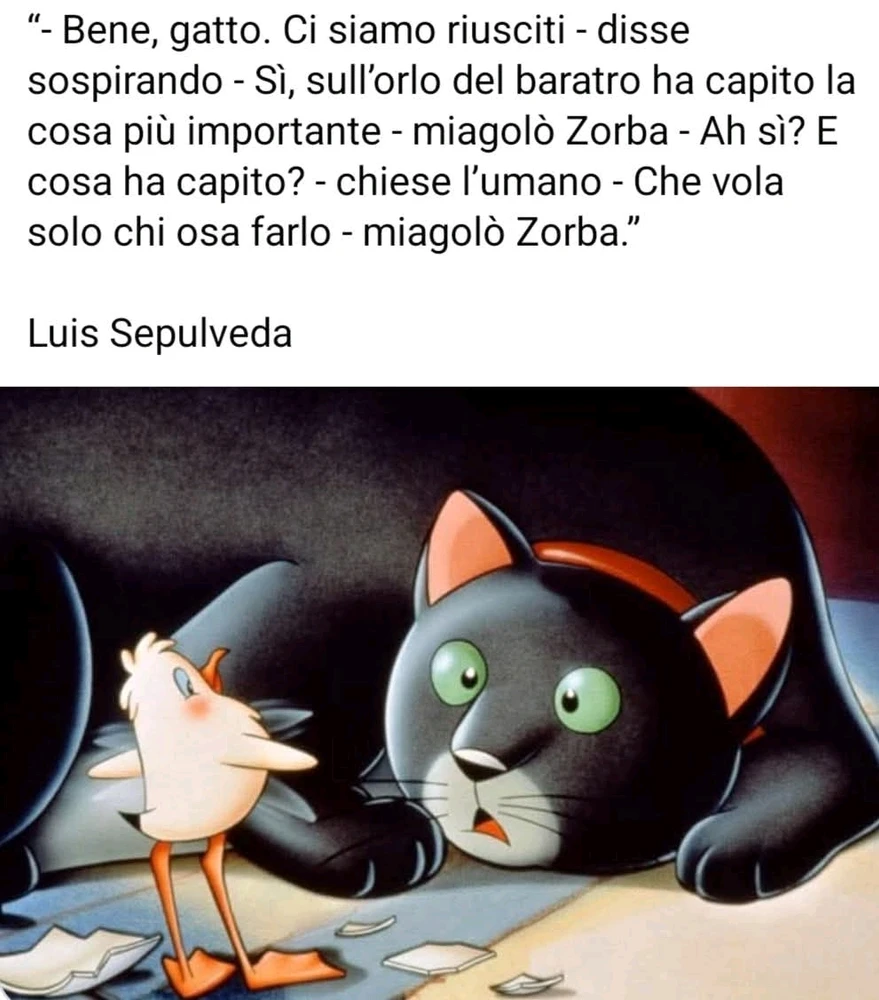 GIF caricata da Milli
