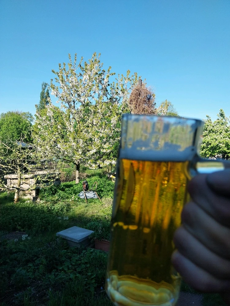 GIF hochgeladen von felix