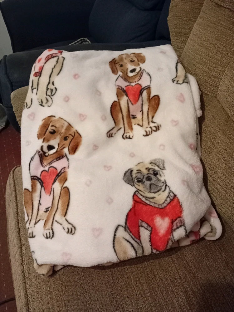 GIF uploaded by Saff