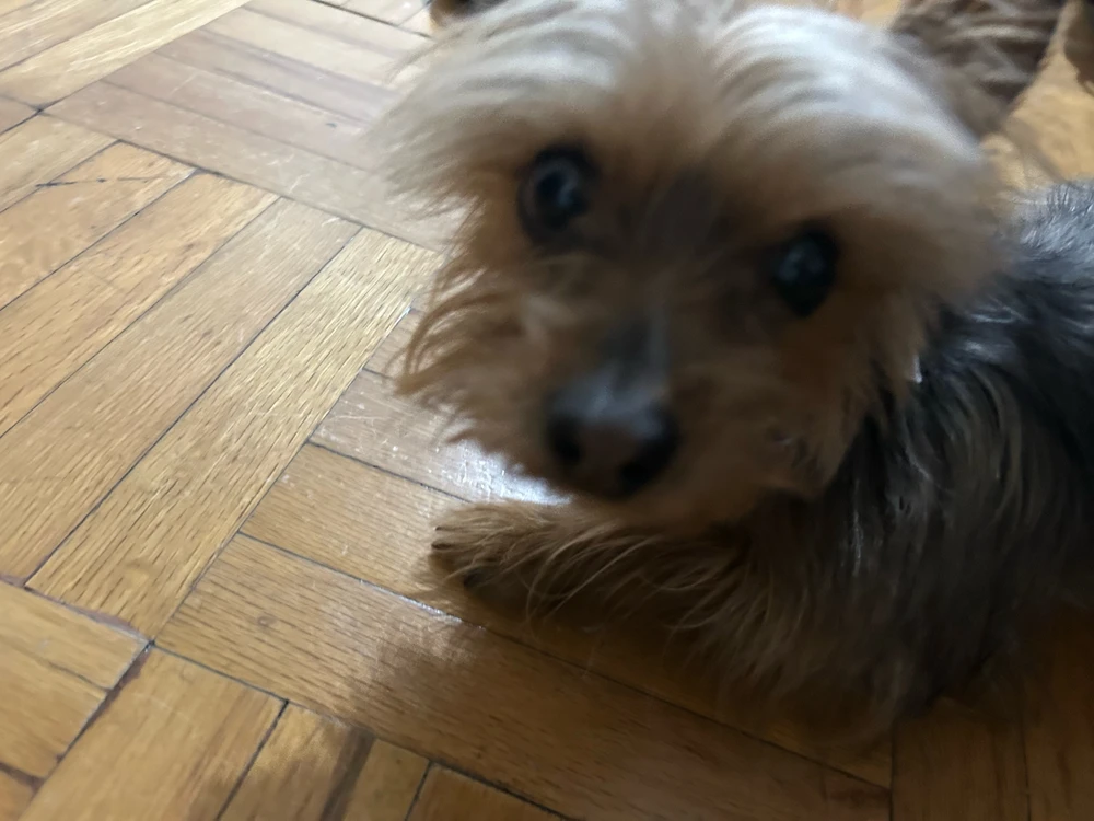 GIF uploaded by Landon