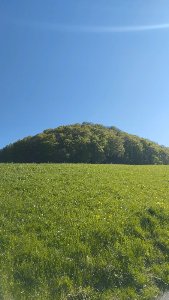 GIF hochgeladen von Tim