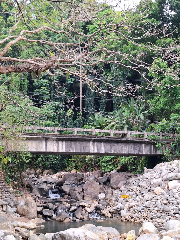Image uploaded by pauwee
