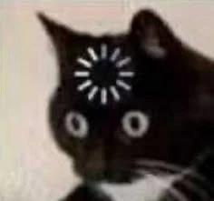 GIF uploaded by Dani