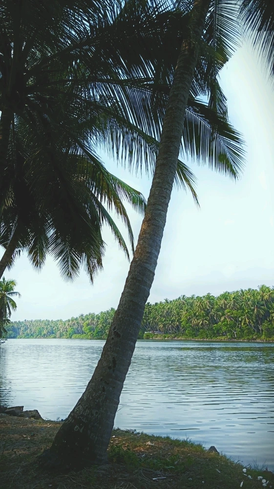 GIF uploaded by Athul