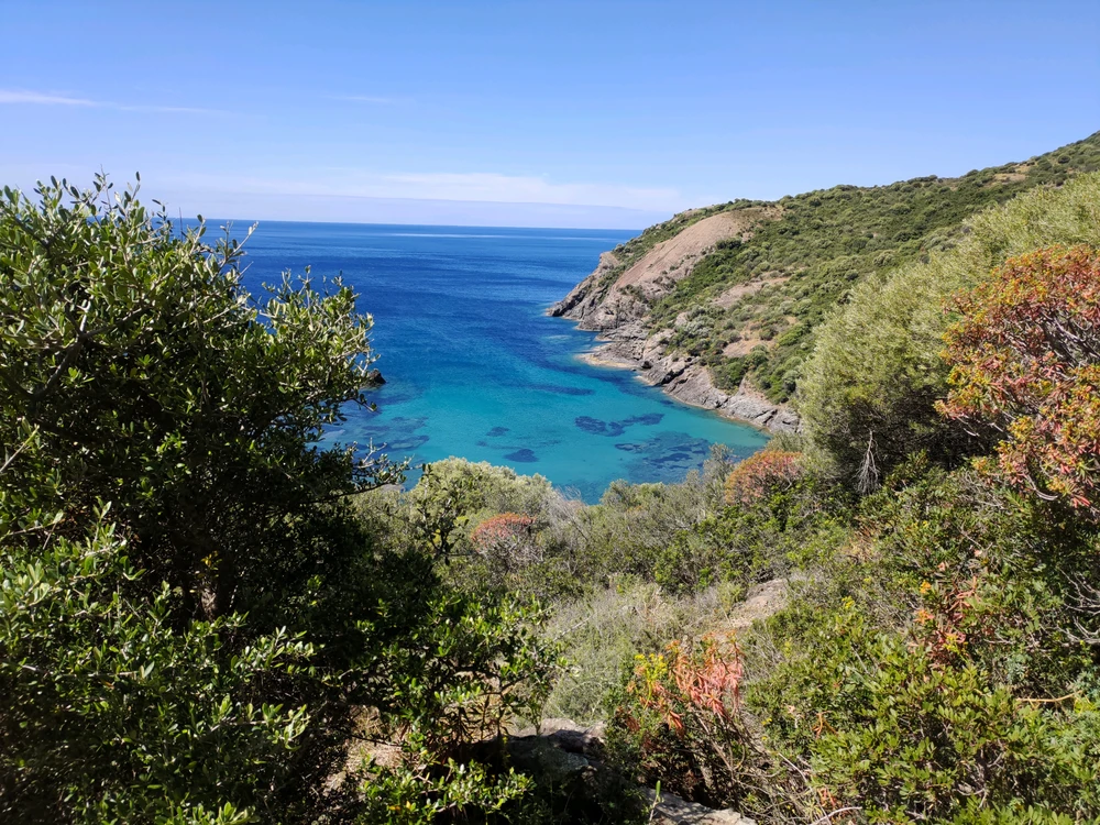 Image uploaded by Guido