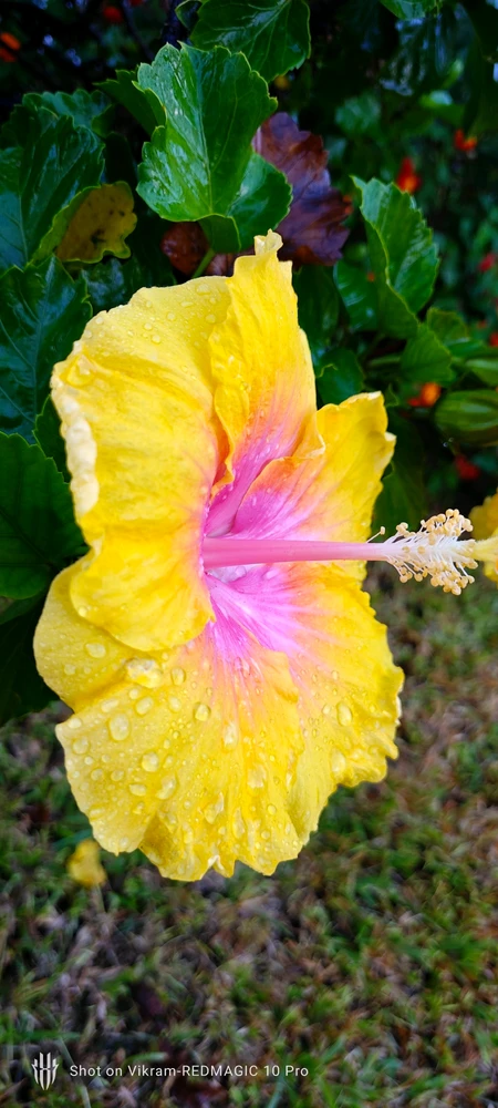 GIF uploaded by Vikram