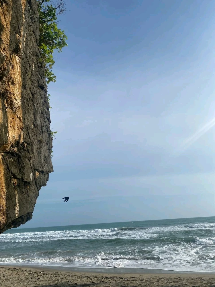 GIF uploaded by dxtro