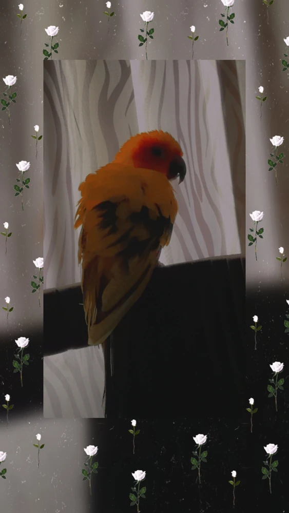 GIF uploaded by Ren