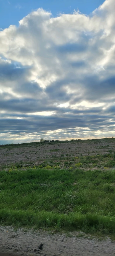 GIF uploaded by Kathleen