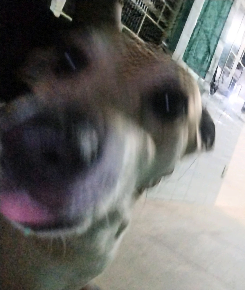 GIF enviado por Vitor