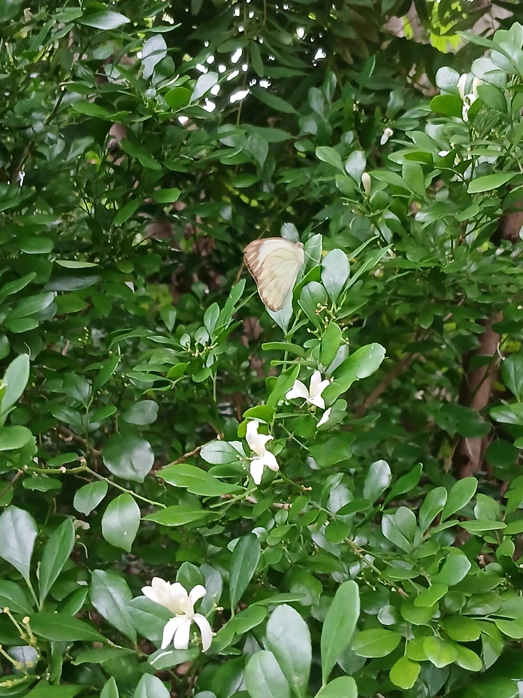 GIF uploaded by Lorenna