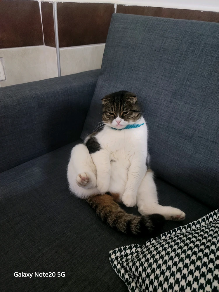 GIF uploaded by Mahsun