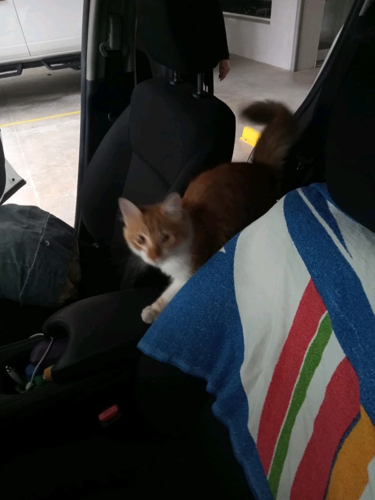 Image uploaded by Daniel