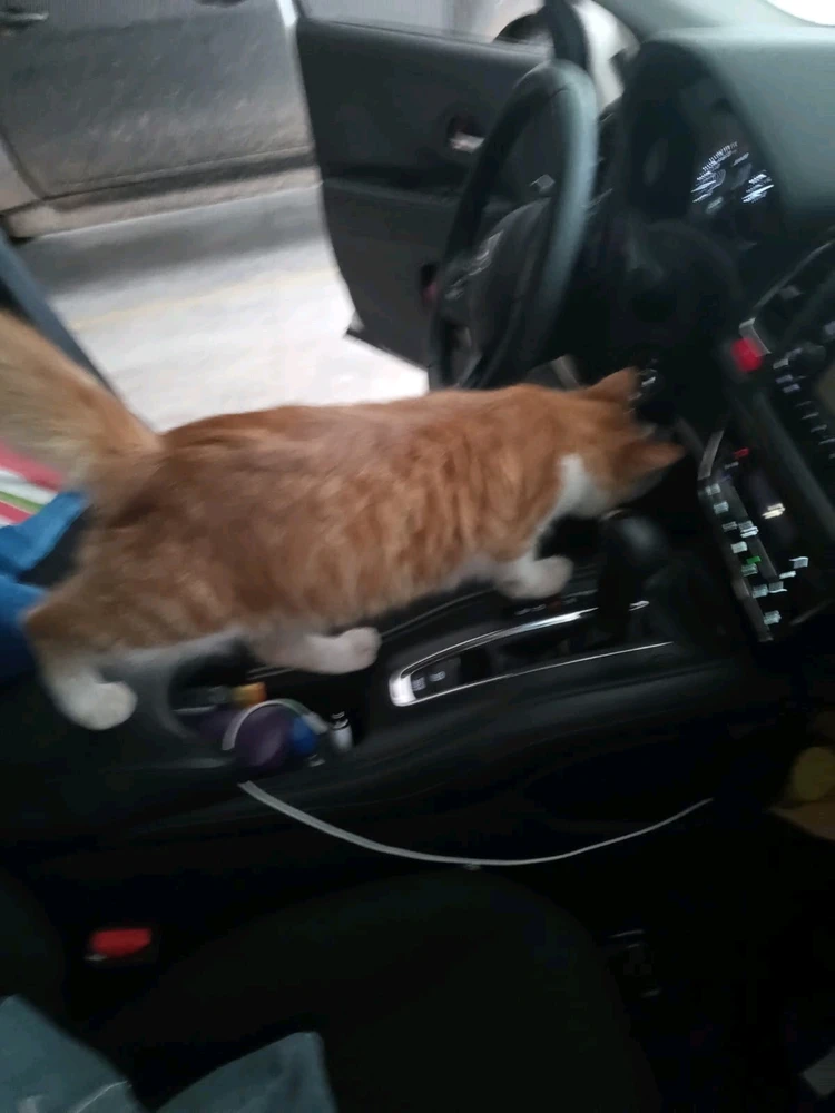 Image uploaded by Daniel