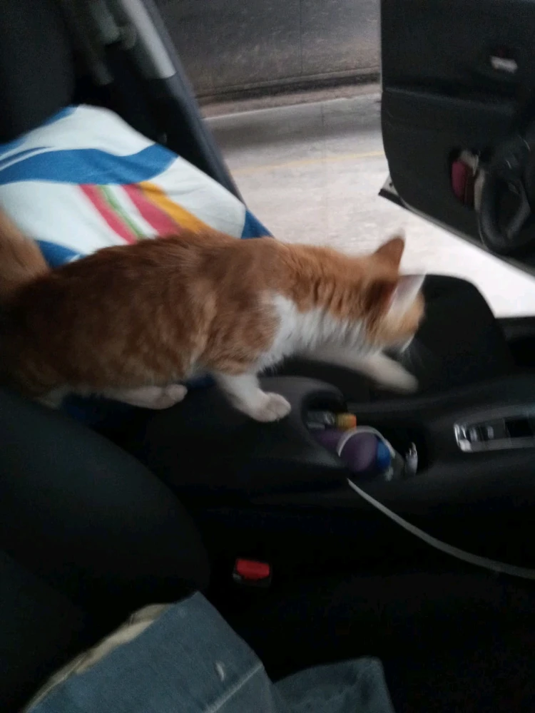 Image uploaded by Daniel