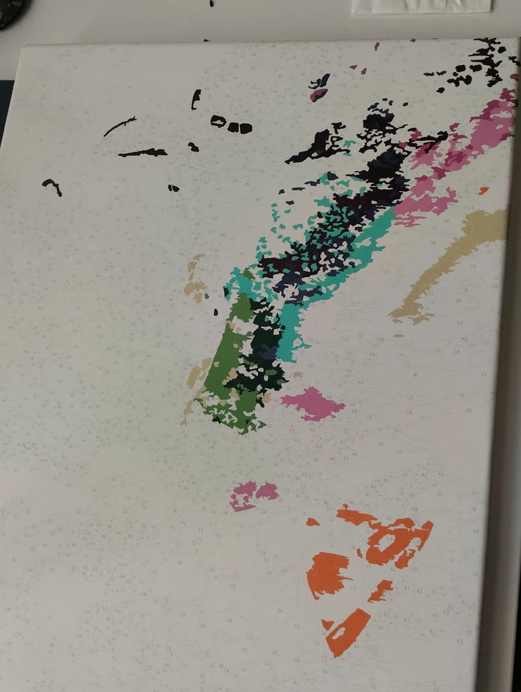 Image uploaded by Honza