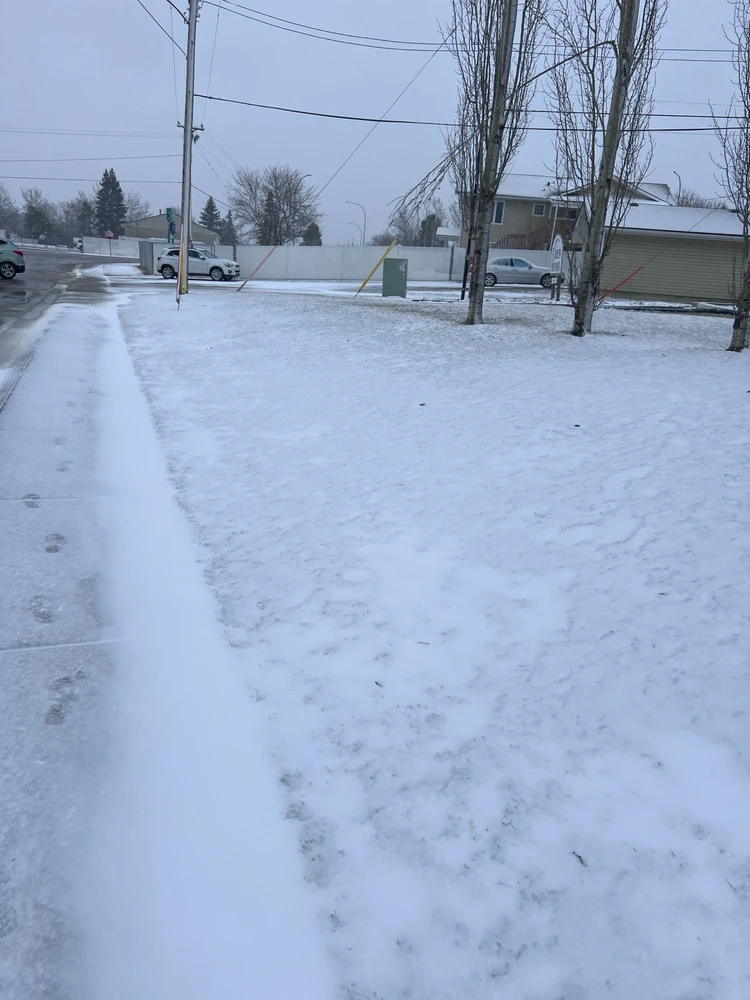 Image uploaded by Victor