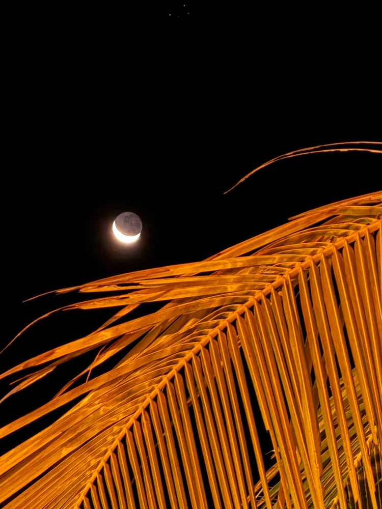 Image uploaded by Zayan