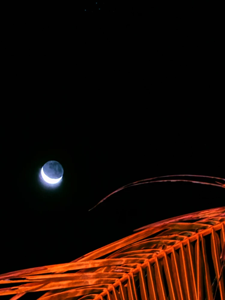 Image uploaded by Zayan