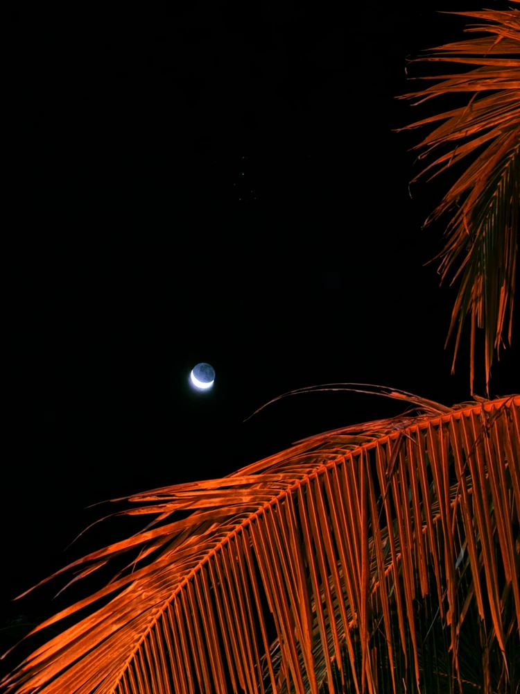 Image uploaded by Zayan