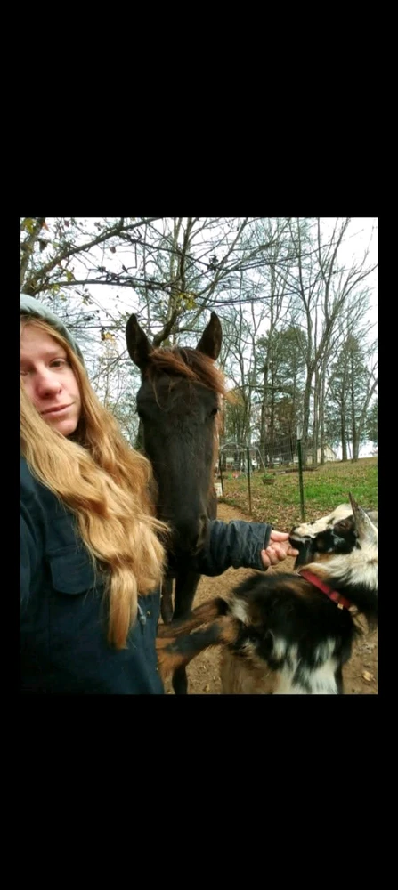 Image uploaded by Wildflower