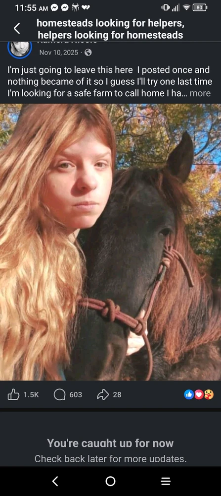 Image uploaded by Wildflower