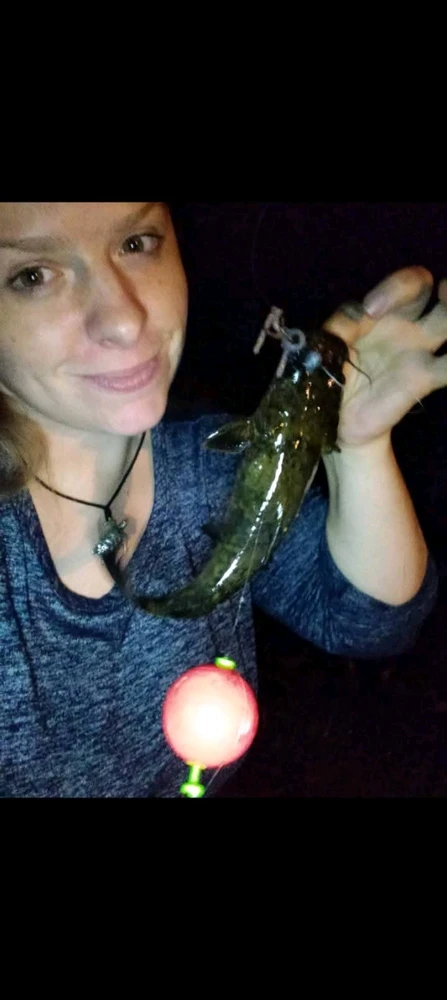 Image uploaded by Wildflower