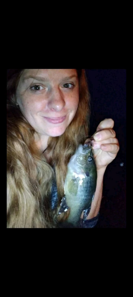 Image uploaded by Wildflower