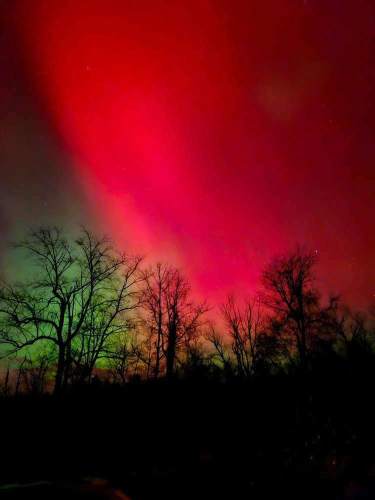 Image uploaded by Juniper