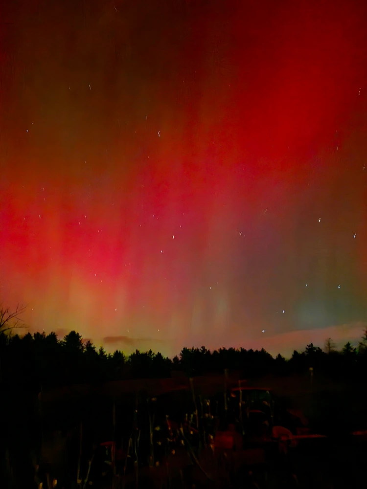 Image uploaded by Juniper