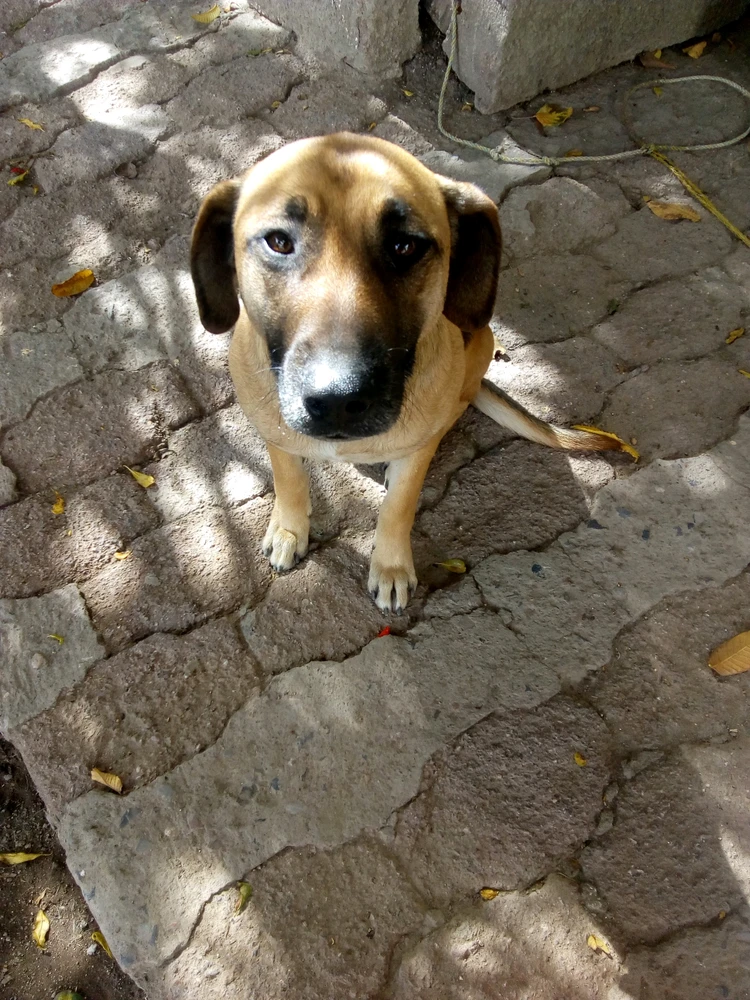 GIF uploaded by Daniel