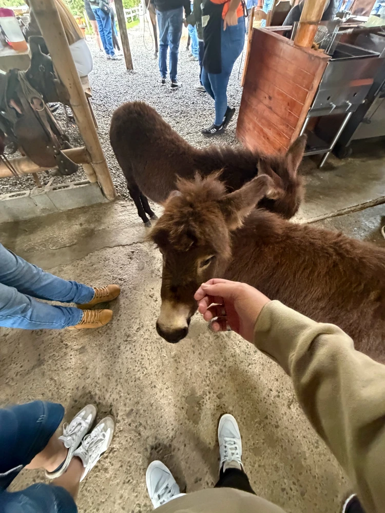 GIF uploaded by ric