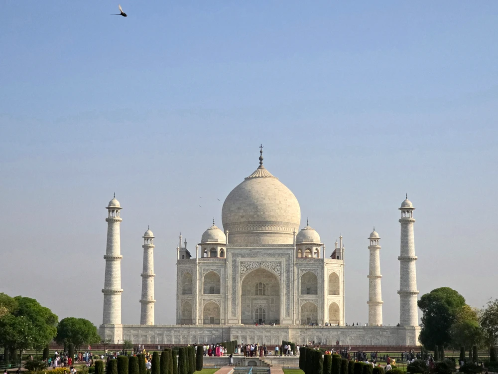 Image uploaded by Ali Gour