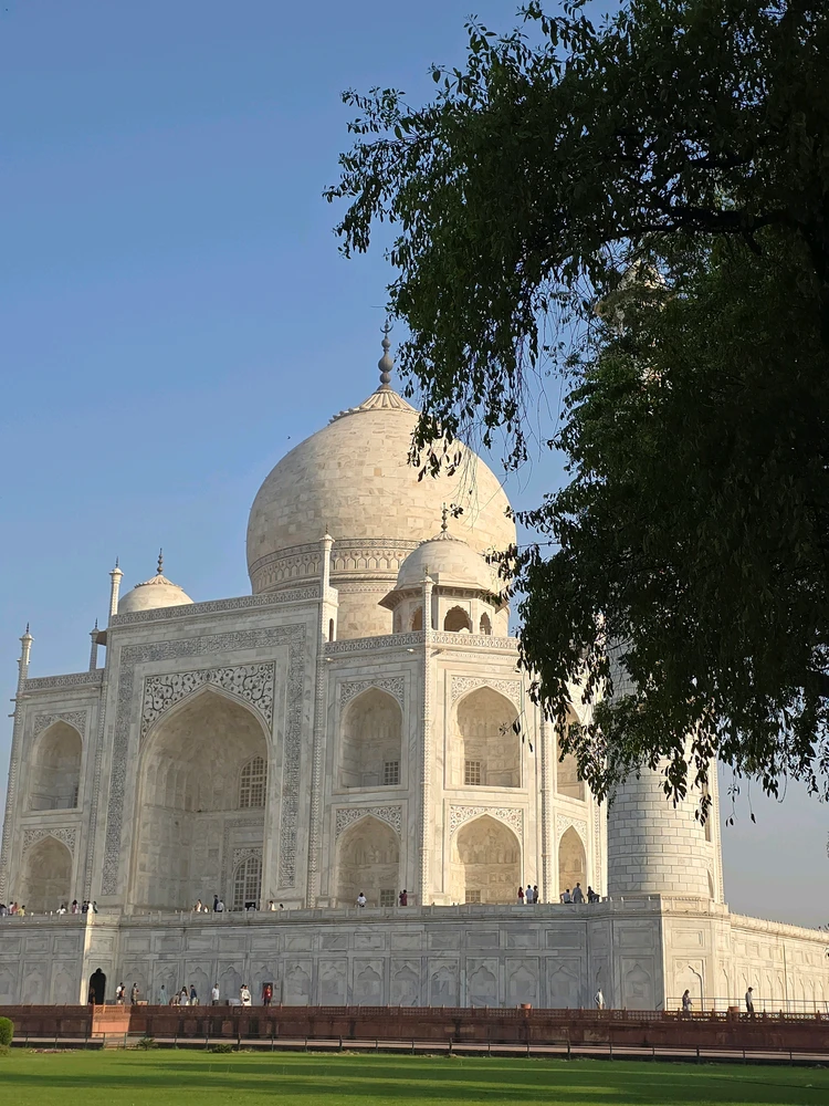 Image uploaded by Ali Gour