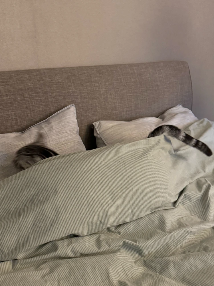GIF uploaded by Jungwon