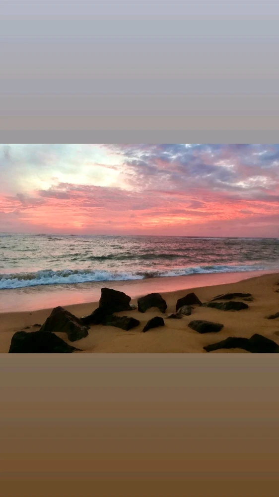 GIF uploaded by S