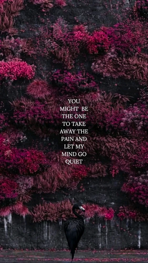 GIF uploaded by yuri