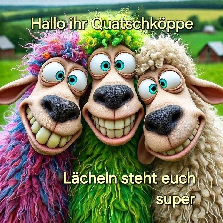 Bild hochgeladen von Sven