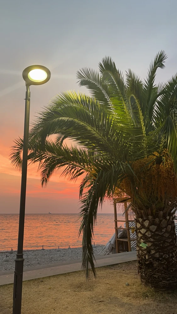 GIF otpremio/la Aleksa