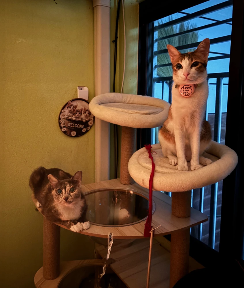 GIF uploaded by Pat♡