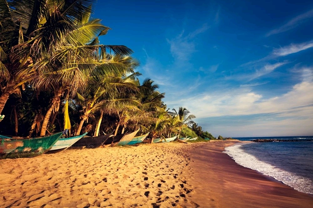 Image uploaded by Purusoth