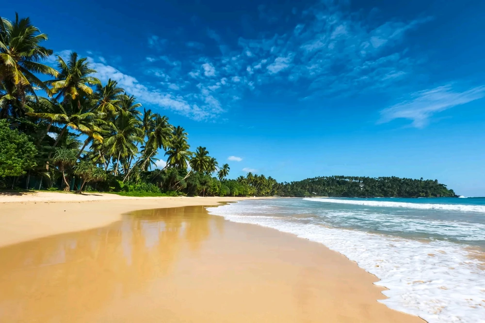 Image uploaded by Purusoth