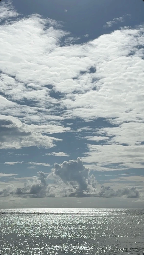 GIF uploaded by Zayan