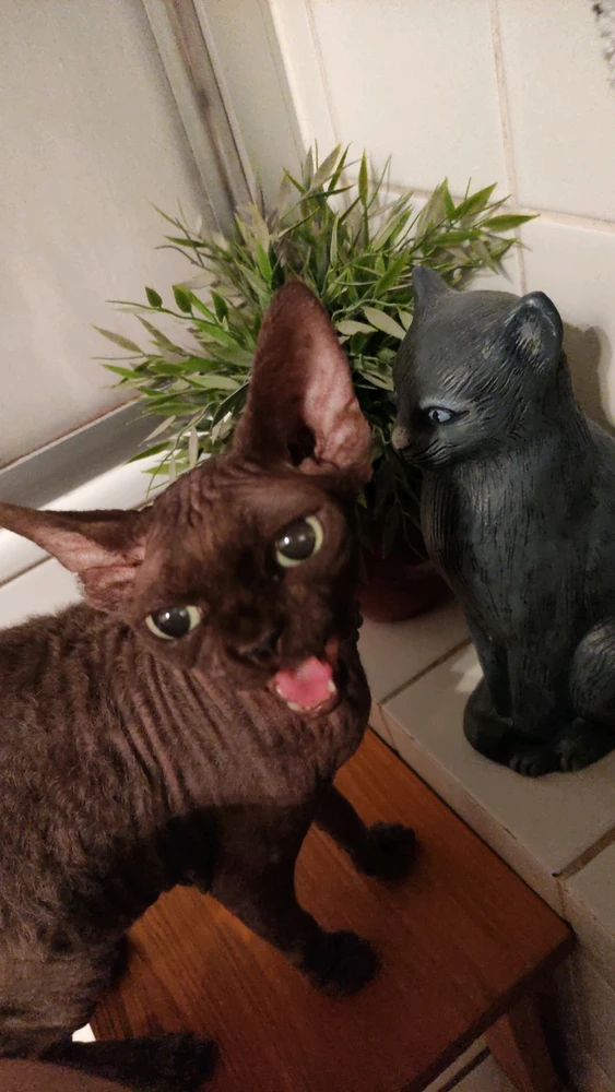 GIF uploaded by Jasmin