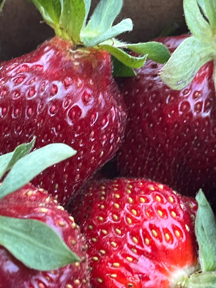 Image uploaded by Natalia