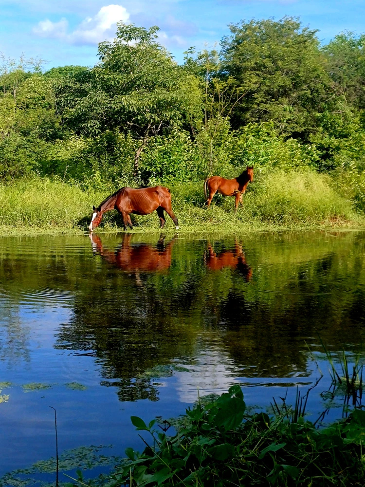 GIF enviado por Maria Raquel